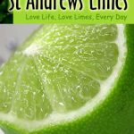St Andrews Limes