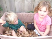 Picnics Picnics