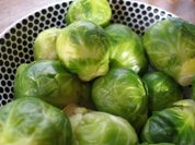 Scary Foods Scary Foods