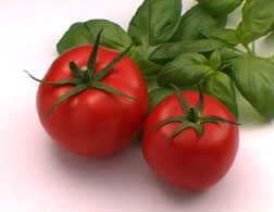 Preserving Tomatoes