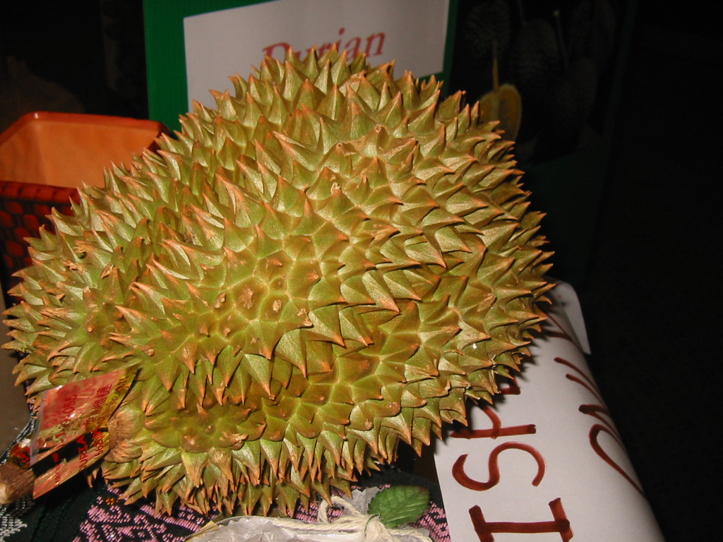 Fresh Durian- at last!!!