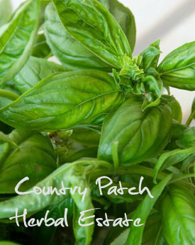 Country Patch Herbal Estate
