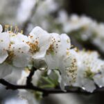 Annual Spring Rant