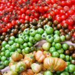 Alternatives Toms: my favourite edible heirlooms