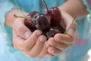 Pick your own fruit and berries around NZ