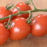 Rachel Vogan's Tomato Sauce