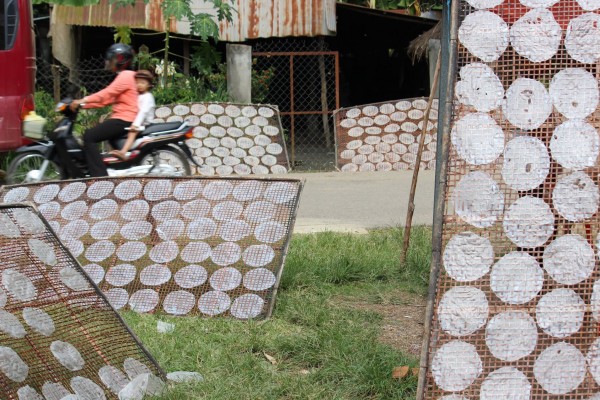 rice paper Cambodia